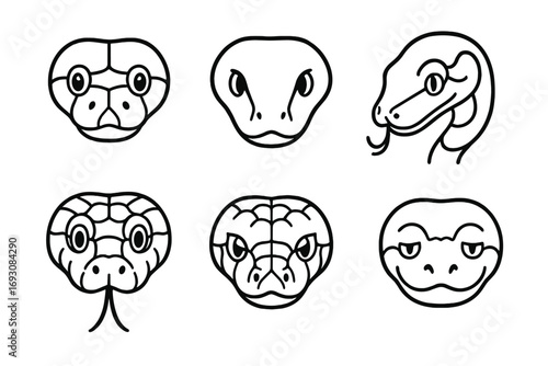 Python Head Icons. Line style icons of python snake heads: round-faced python, smooth scaled face, blunt snout python, side curl