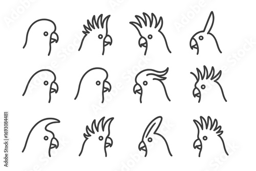 Cockatoo Crest Icons. Line style icons of cockatoo crest styles: rounded crest, spiky crest, fan crest, single line feather;