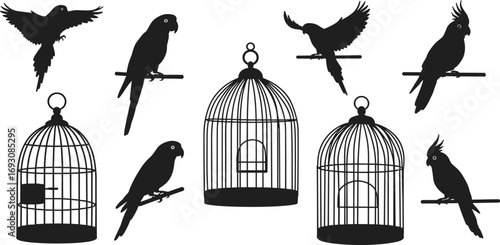 parrot silhouette vector, exotic bird illustration, cockatoo outline, tropical parrot on perch, flying parrot, birdcage decorative design