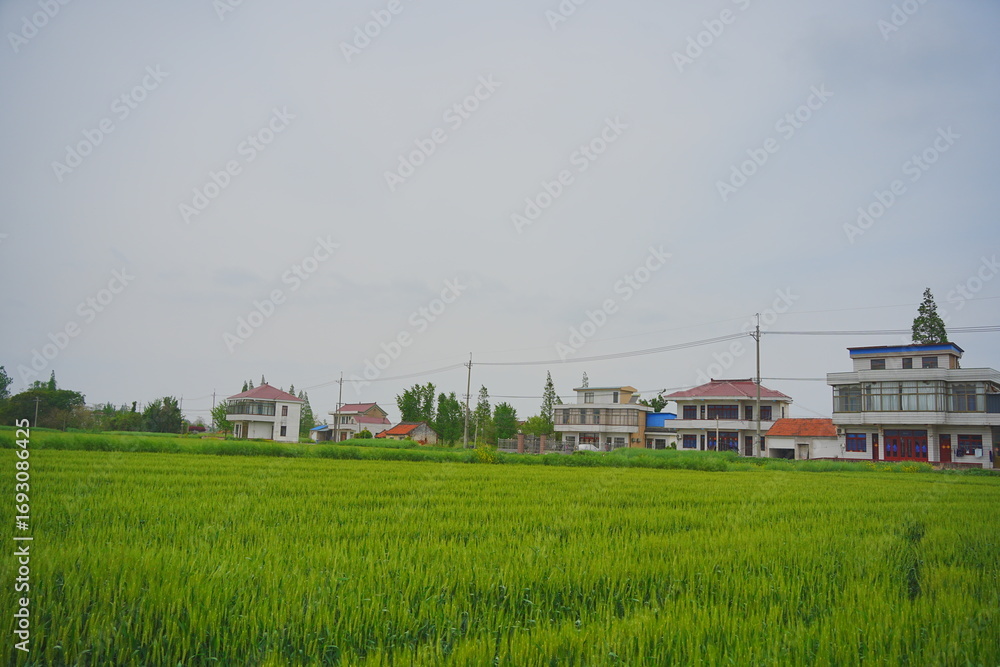 Obraz premium Nantong, Jiangsu, China: 04 21 2025: Beautiful Jiangsu Nantong traditional Chinese building and spring landscape