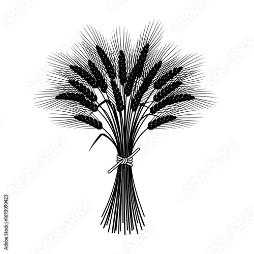 Vector art of a bundle of wheat ears tied with a rope, , a symbol of harvest, agriculture, and rural life in black and white