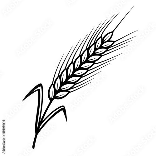 Vector art of single wheat ear, a symbol of agriculture, harvest, and the natural beauty of grain in a simple design