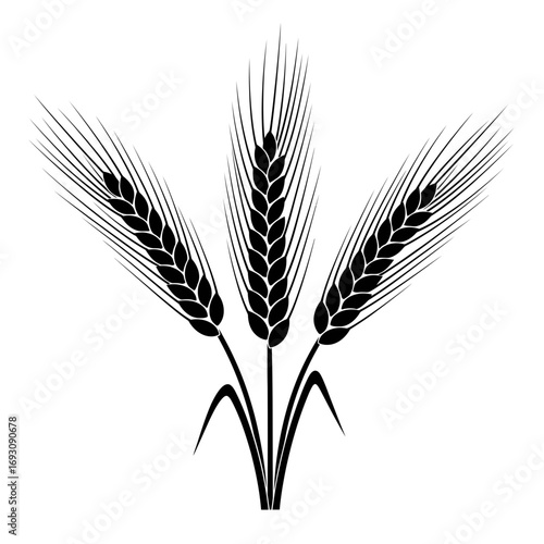 Vector art of a monochrome illustration of three wheat ears, showcasing its intricate details and natural beauty in a simple design