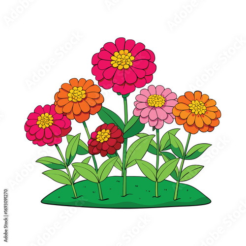 Vibrant zinnia flower bed illustration with bright summer colors