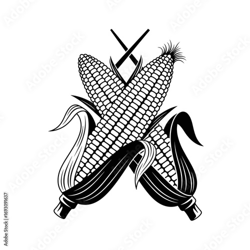 Vector art of two crossed ears of corn with husks, an artistic representation for harvest festivals and autumn celebrations