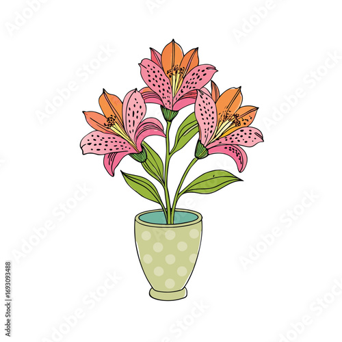 Beautiful alstroemeria flower with unique spotted petals in a vase on a white background
