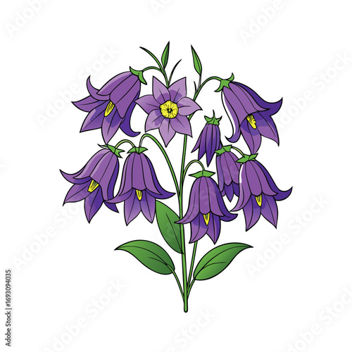 Purple bellflower bunch illustration for banners and advertisements