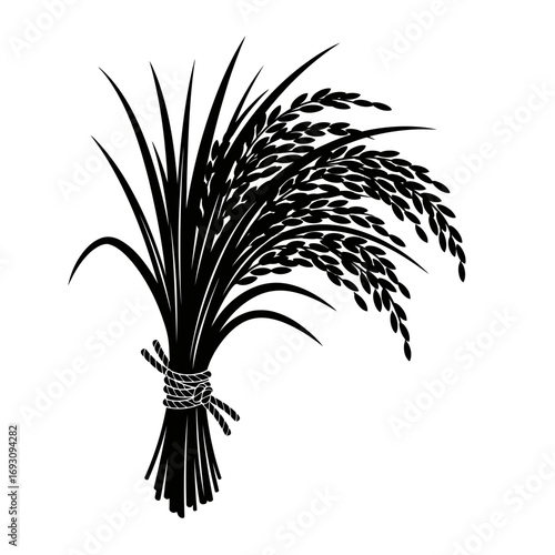Illustration of a bundle of rice stalks tied together, , showcasing agriculture and harvest season in a simple design
