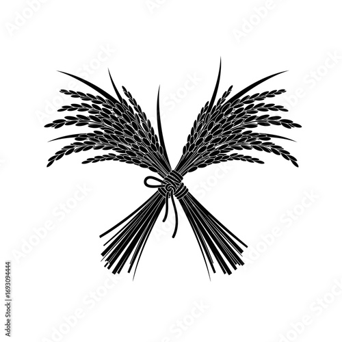 Vector art of two sheaves of rice tied together, symbolizing harvest, agriculture, and the bounty of the earth, in black and white