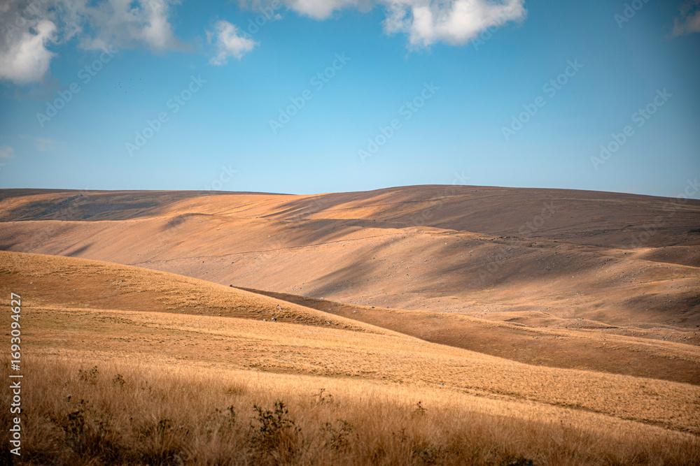 Fototapeta premium sand dunes and blue sky