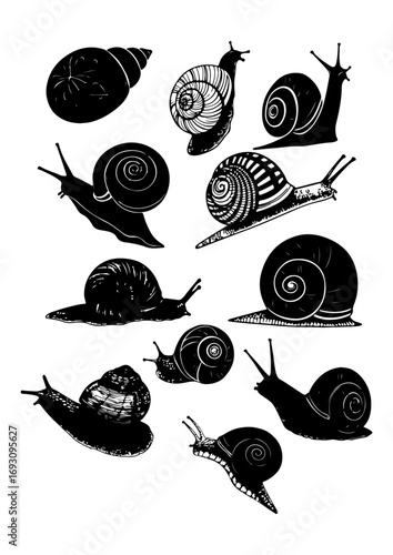 Collection of Snail Silhouettes in Various Poses