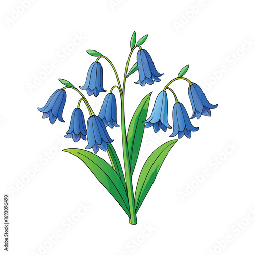A delicate bunch of bluebell flowers with vibrant green stems on a clean white background