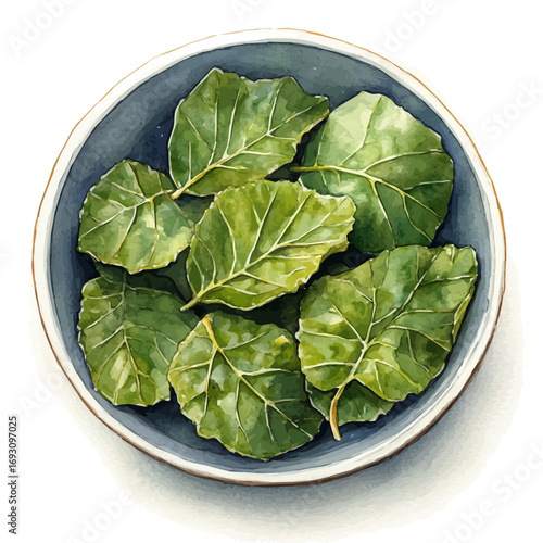 Stuffed Grape Leaves, watercolor painting vector, isolated on a white background.