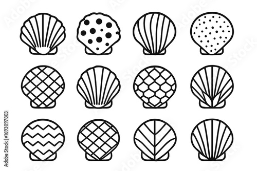 Patterned Shell Icons. Line style icons of patterned shells: ridged shell, spotted shell, striped shell, dotted shell;