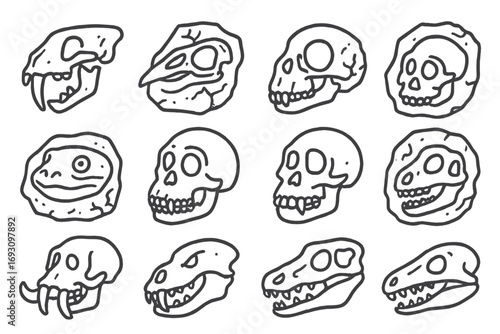 Fossil Skulls Icons. Line style icons of fossilized skulls: saber tooth skull, bird skull fossil, reptile jawbone, mammal skull