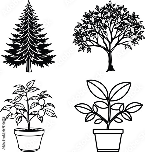 set of trees in pot