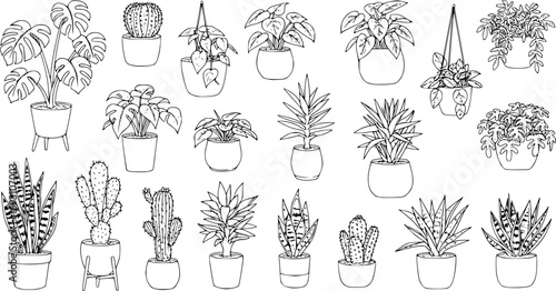 Houseplants. Vector set of outline drawings plants, succulents in pot. Indoor exotic flowers with stems and leaves. Monstera, Ficus, pathos, yucca, dracaena, cacti, snake plant for home and interior