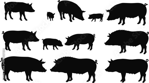 Pig silhouette illustration, farm pig vector, domestic swine artwork, wild boar design, livestock drawing, rural pig collection, animal graphics