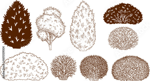 Set of bush and bare bush, decorative garden plants, contour. Vector illustration
