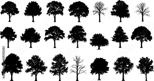 set of bush grass shrub herb silhouette vector transparent background
