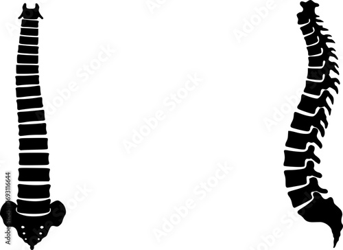 Two identical black silhouettes of a human spine viewed from the side silhouette
