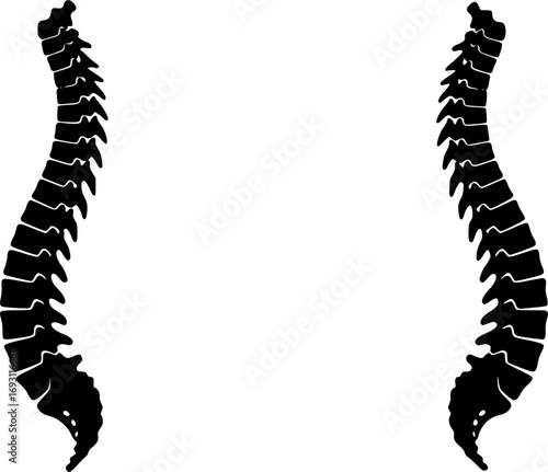 Two identical black silhouettes of a human spine viewed from the side silhouette
