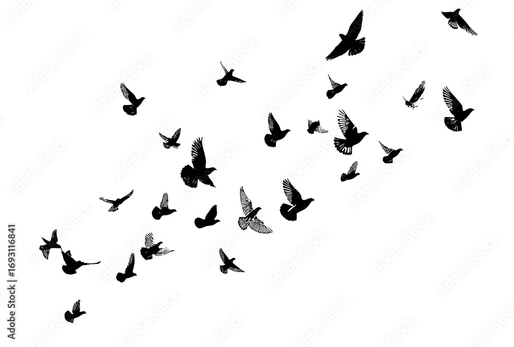 A flock of birds in flight against a black background. Multiple birds are depicted in various positions, forming a seemingly random pattern. A flock of birds in flight against a black background. Multiple birds are depicted in various positions, forming a seemingly random pattern.