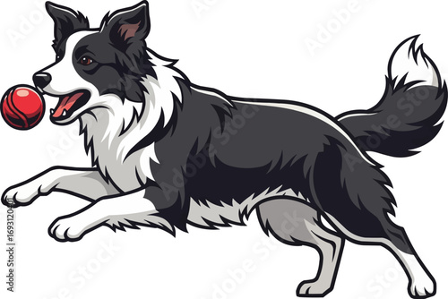 Border Collie dog fetching ball playing vector illustration