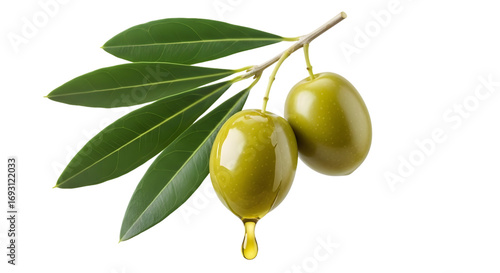Fresh Green Olives on Branch with Olive Oil Drip Isolated on White