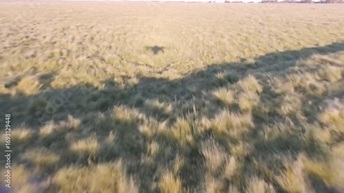 Drone Shadow Stretching Across Fields