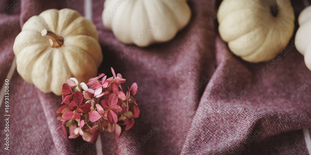 Fototapeta premium White pumpkins and pink dried hydrangea flowers on soft, textured fabric creating a warm and rustic autumn ambiance