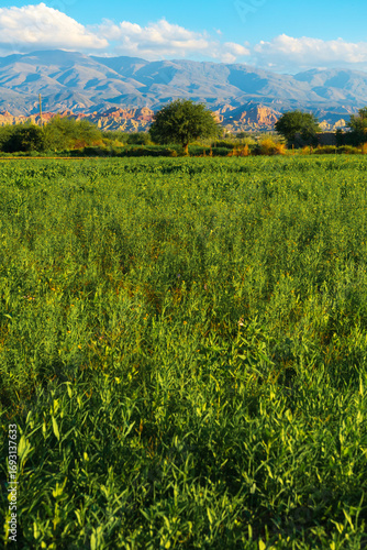Paisaje Vallisto de verano