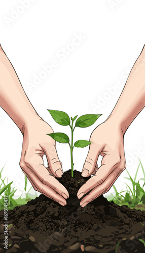 Human hands carefully planting a small green seedling representing growth and environmentalism against a white background