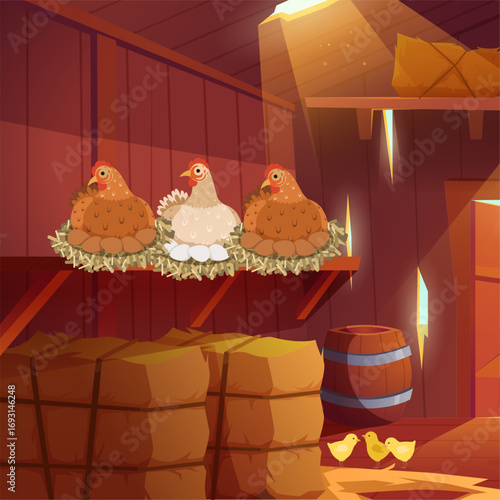 Chicken roost. interior of barn with hay chicken farm. vector cartoon background