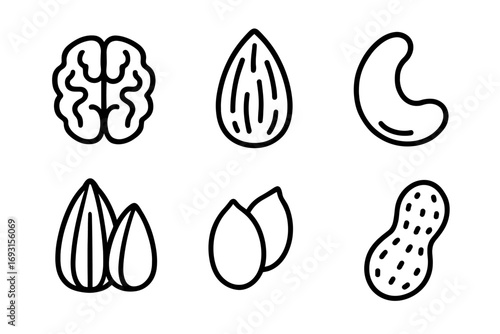 Outline icons of nuts and seeds: brain, almond, cashew, peanuts, pumpkin seeds
