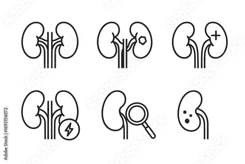 Kidney health icons: disease, infection, pain, diagnosis
