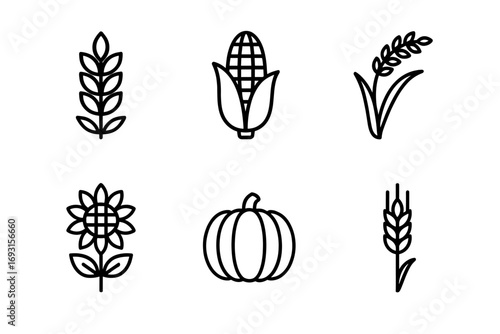 Collection of agricultural icons: corn, wheat, sunflower, pumpkin