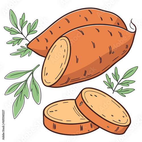 Whole Sweet Potato Isolated on White Background