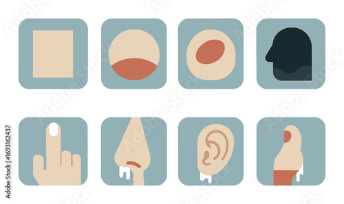 Human senses flat icon set. featuring eye, ear, nose, mouth, skin, taste, smell, hearing, sight, touch, and head icons.