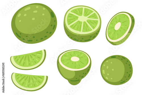Lime fruit collection. Green citrus whole and sliced segments. Fresh sour tropical fruit with textured peel. Vitamin C rich healthy elements. Vector illustration isolated on white background