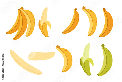 Banana collection. Yellow tropical fruits in bunches, peeled and single forms. Ripe and green varieties. Fresh healthy elements in flat style. Vector illustration isolated on white background