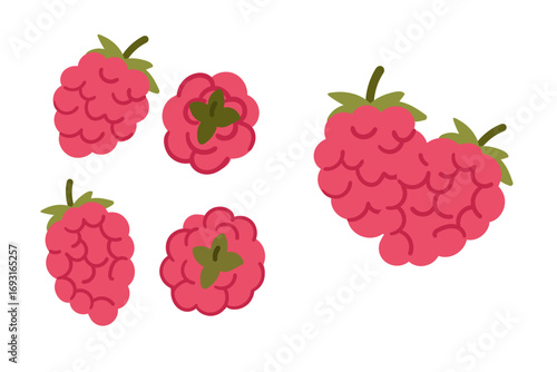 Raspberry collection. Pink red berries with green leaves in different views and arrangements. Fresh summer berry elements in flat cartoon style. Vector illustration isolated on white background