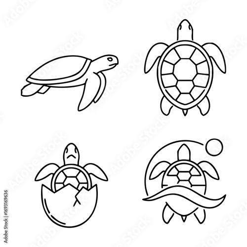 Black and white line icon set featuring four stylized turtle illustrations