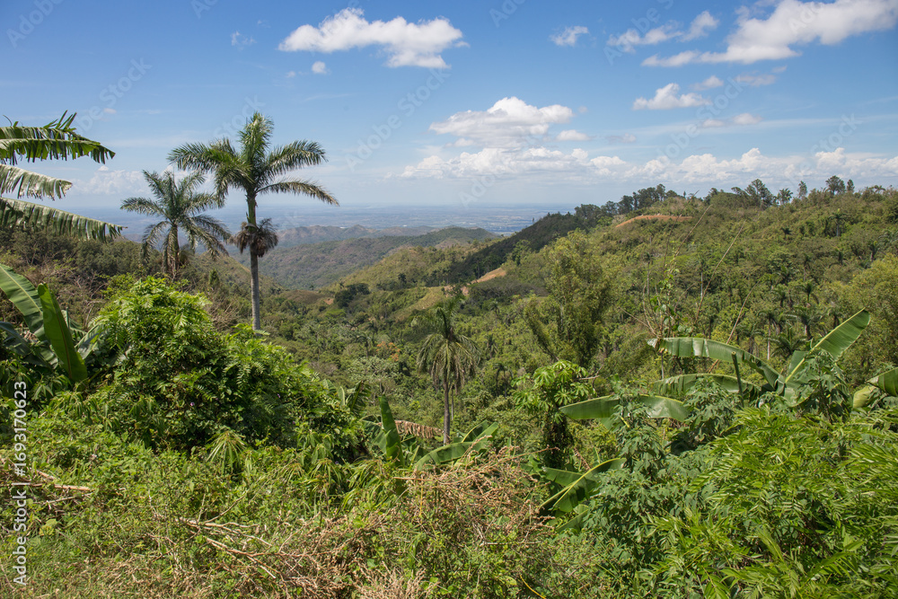 Fototapeta premium Elevated view on Topes de Collantes - a national natural park of Cuba