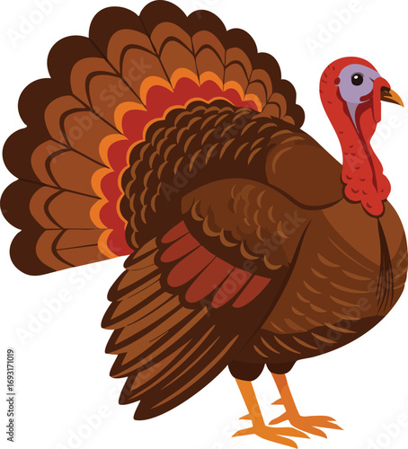 Wild turkey bird with colorful brown and red feathers standing side view vector illustration 