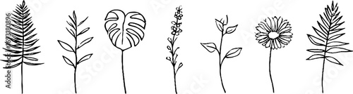 Minimalist line art collection of fern and monstera leaves for botanical design