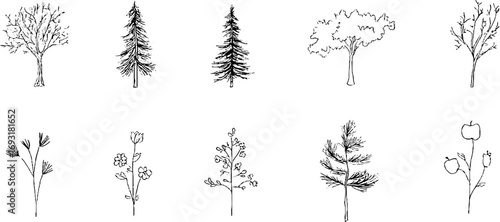 Minimalist line art of various trees and plants for nature-themed designs