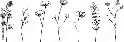 Minimalist botanical line art set featuring delicate floral designs for aesthetic decor