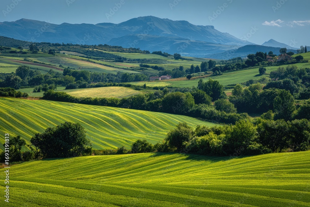 Fototapeta premium Lush rolling hills under a vibrant sky