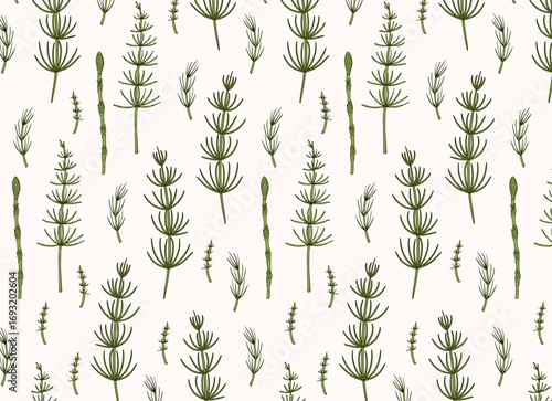 Hand-drawn horsetail botanical seamless pattern, in a vintage engraved vector illustration style. Green plants on a light background for fabric, wallpaper, greeting cards, and product packaging.